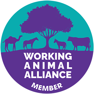 Working Animal Alliance Member